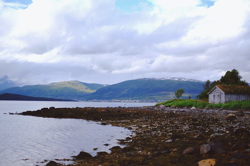 20608535756_b0ee22da01_c