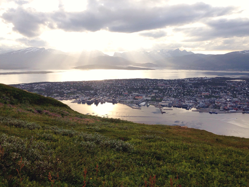 20608542516_ef9ee737a8_c