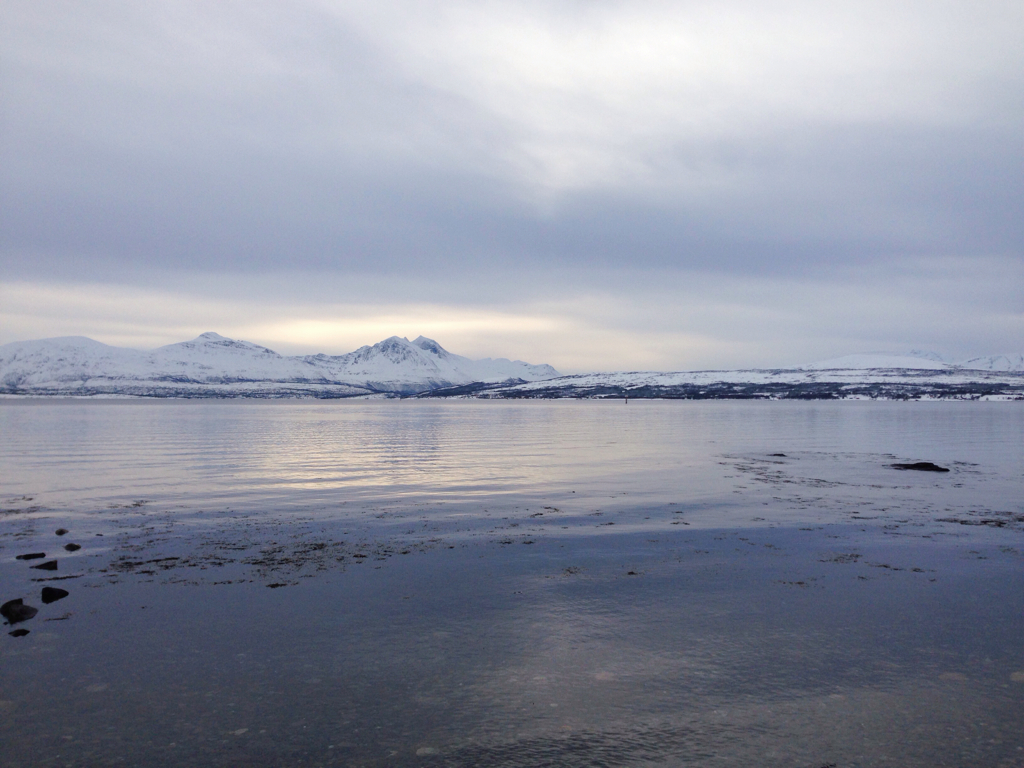 43fe73bff8ccbc77-IMG_2880