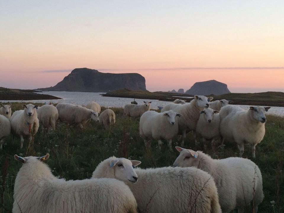 cdfc5da02ebd0f55-rost2