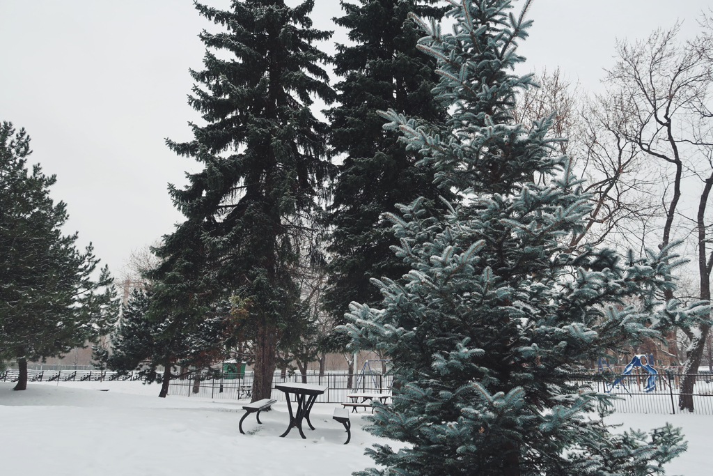 ccc1b03850dfb126-november2018-01