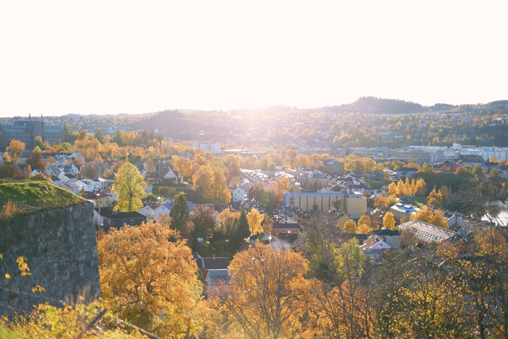 98143455187288a5-2019-10-220434292