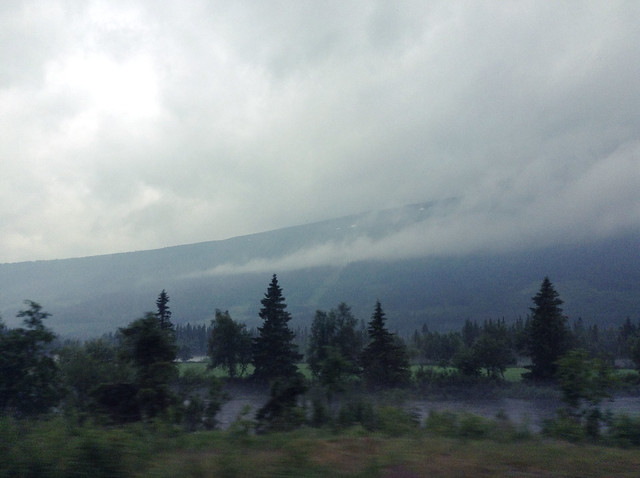 14419752999_98d17cd655_z