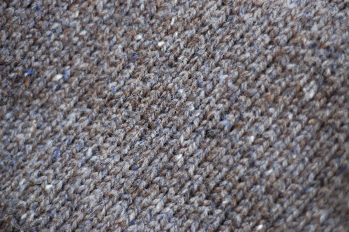 7d14d5270fb56a6f-truffle_hunt