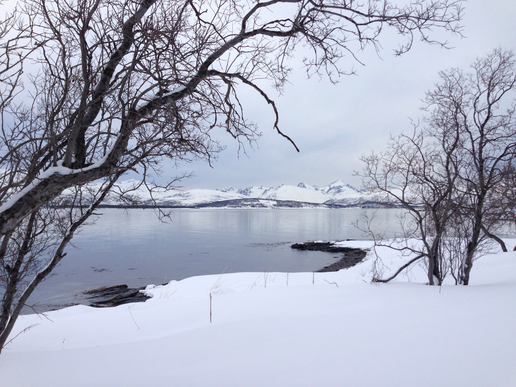 07c70729b7f94384-IMG_2882