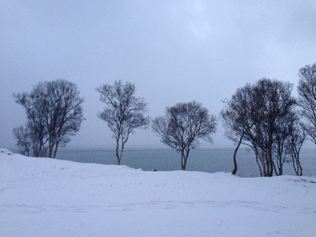 11a804764d408a9b-IMG_0423