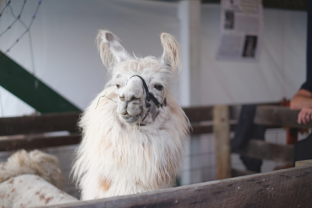 19855034584a854b-2017-10-230752392