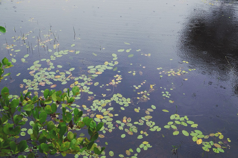 19972881390_ccf0a49888_c