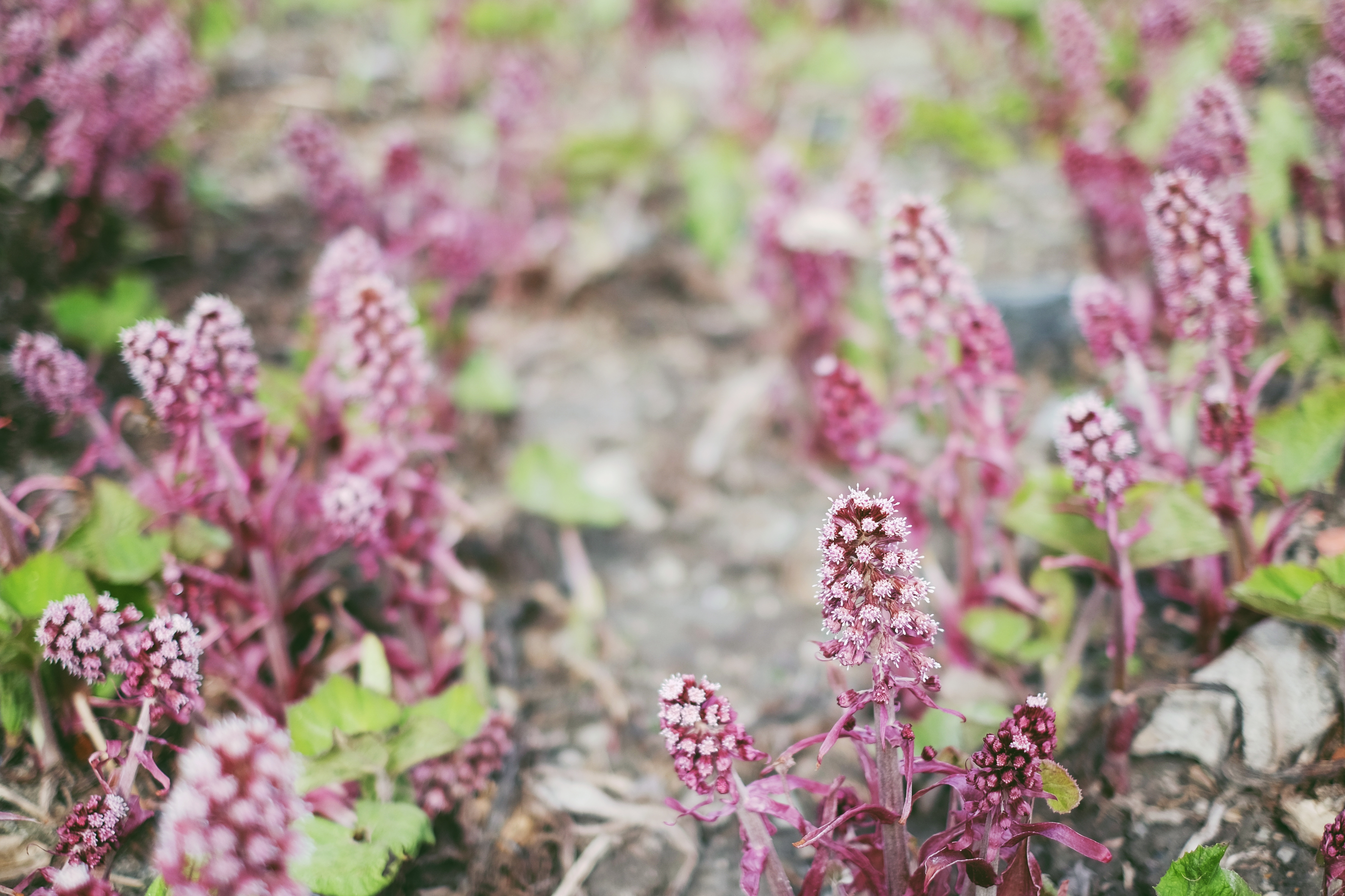 Processed with VSCO with 8 preset