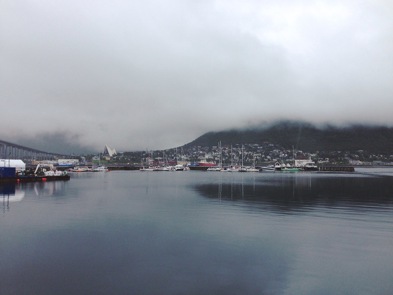 20446804330_aaf1aa9e24_c