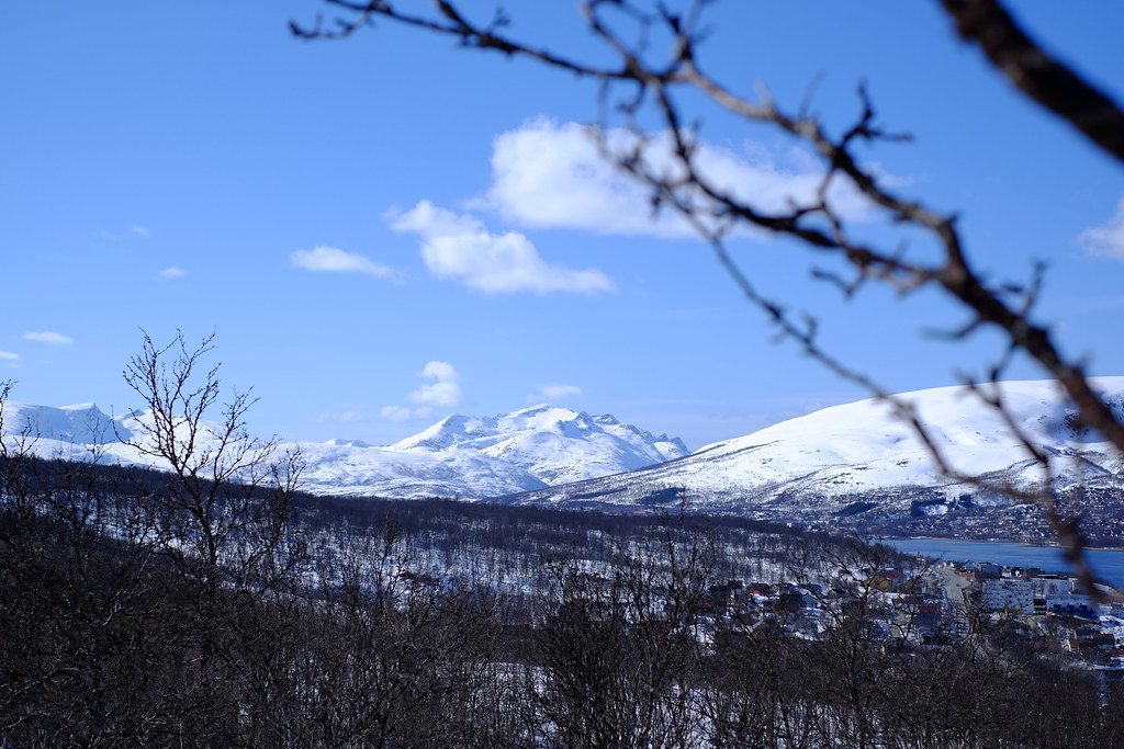 26010112474_94ac08c81d_b