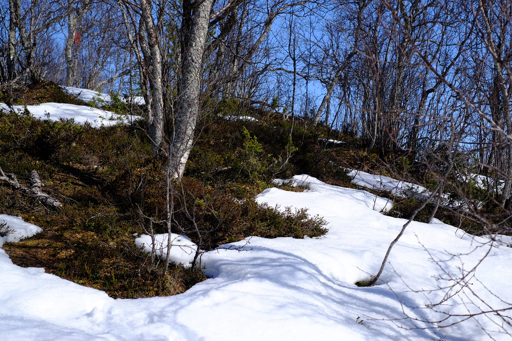 26589514386_71a3800830_b