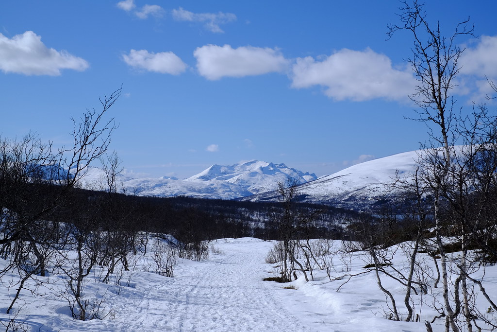 26589516896_df5393a65d_b