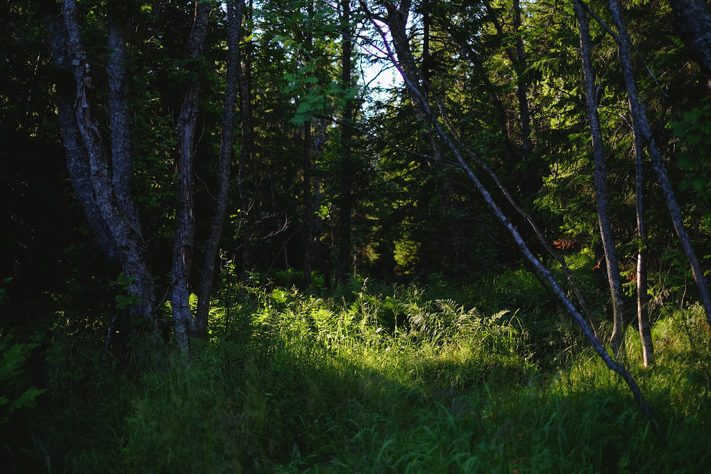 27862618874_f5eb233e48_b