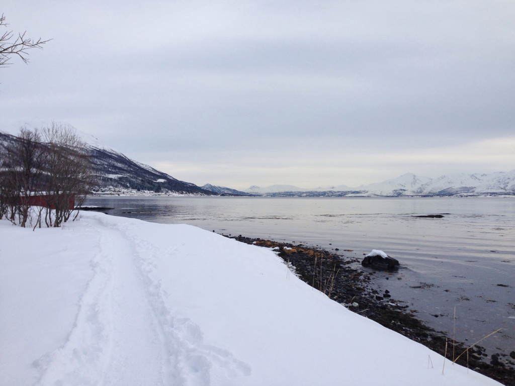 2833d57469954612-IMG_2881