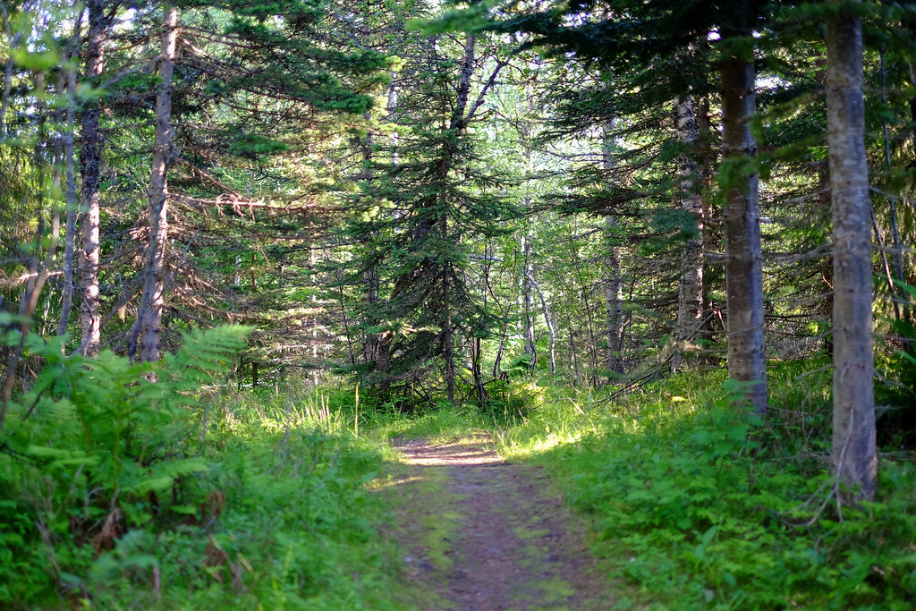 28400679171_3a89cc1436_b