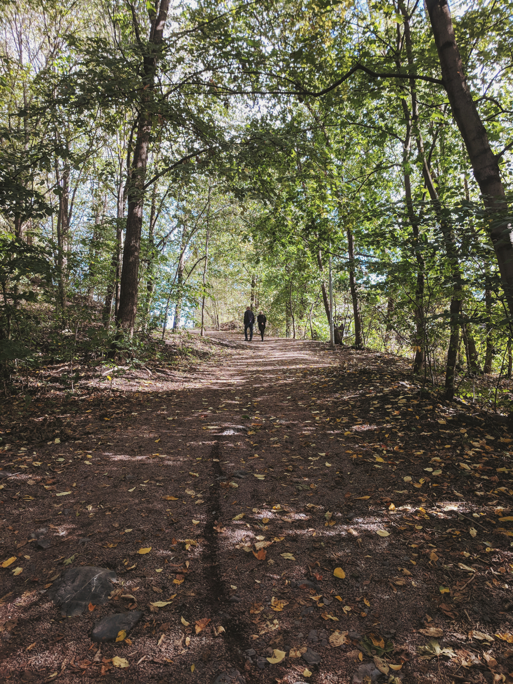 284693d52fa18a38-2018-09-180821511