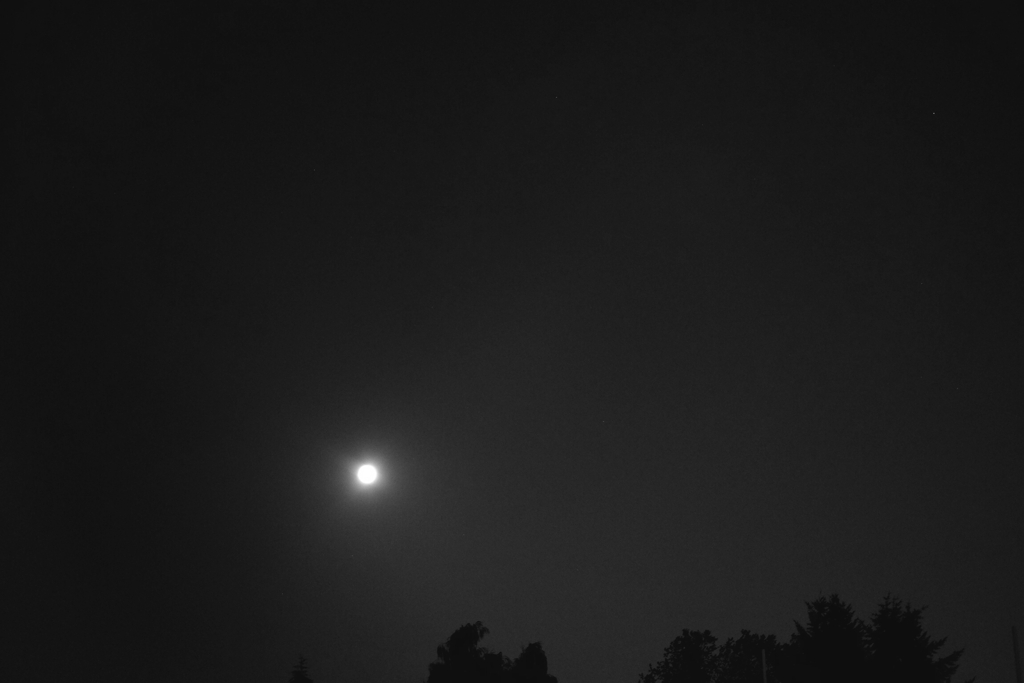 30d6a26f6c626df2-IMG_3971