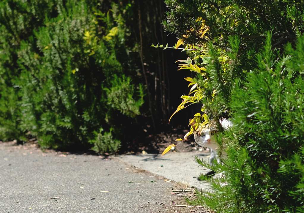 34907484bd4a70fe-DSCF0038copy