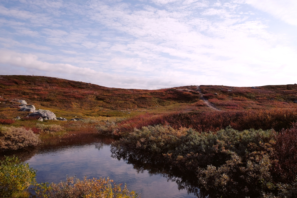 389cc200dfa73b87-IMG_9325