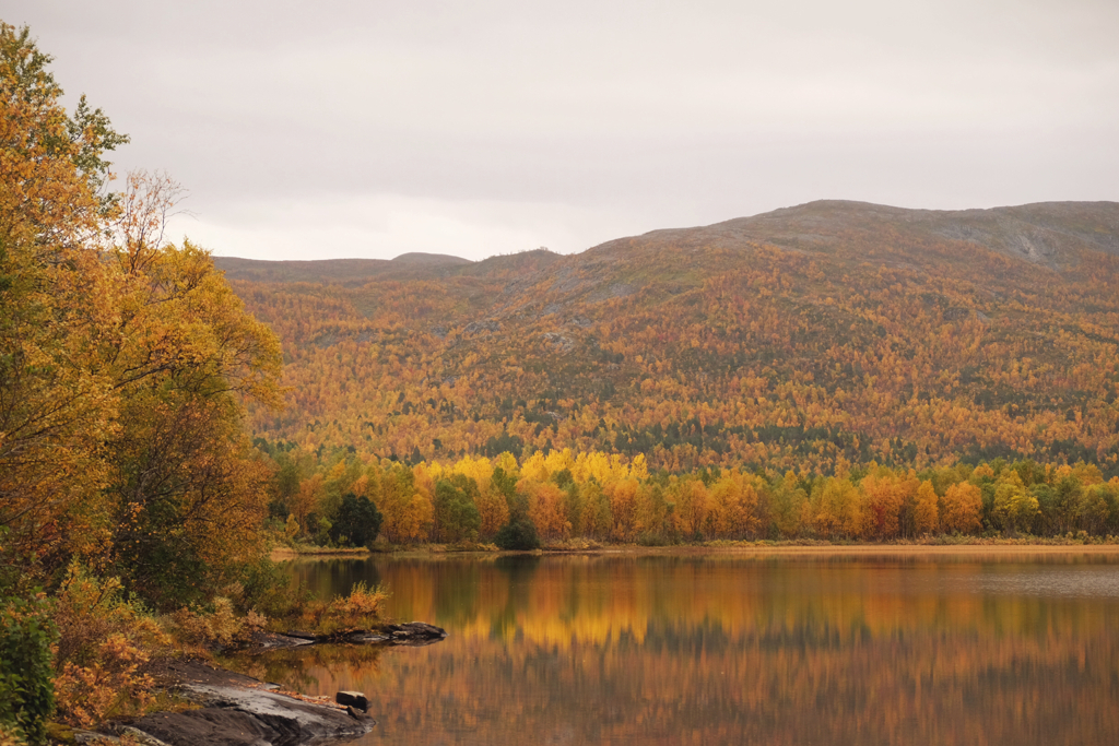 4b4b30158db8df6c-IMG_9507