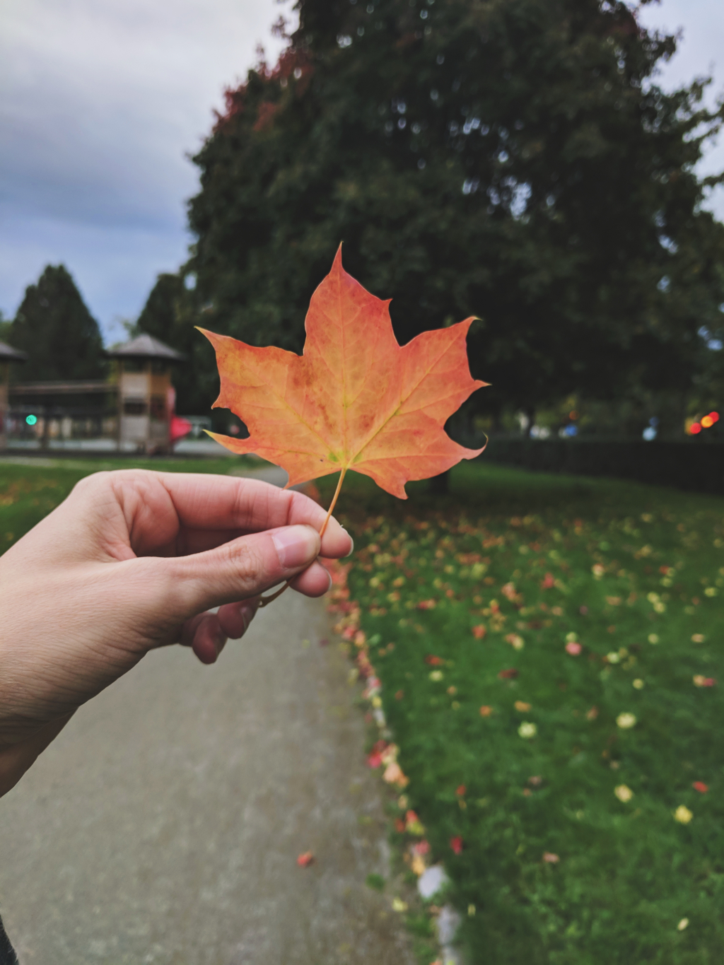 4b9fcab0819fbfa9-2018-09-090746301