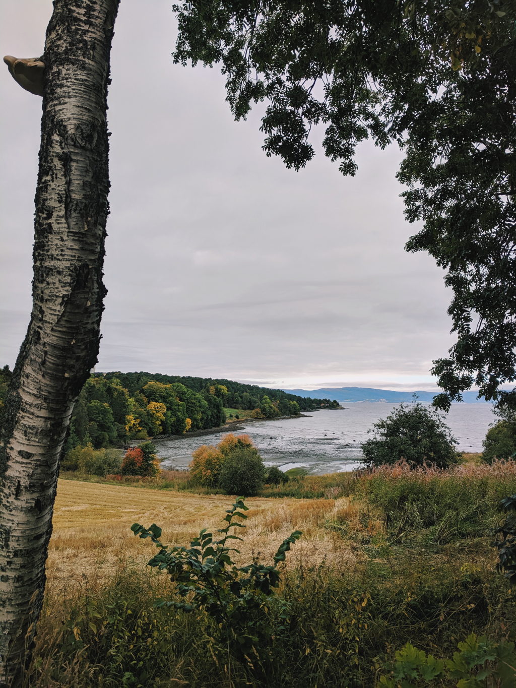 4dcc584c0daa65f5-2019-09-220845552