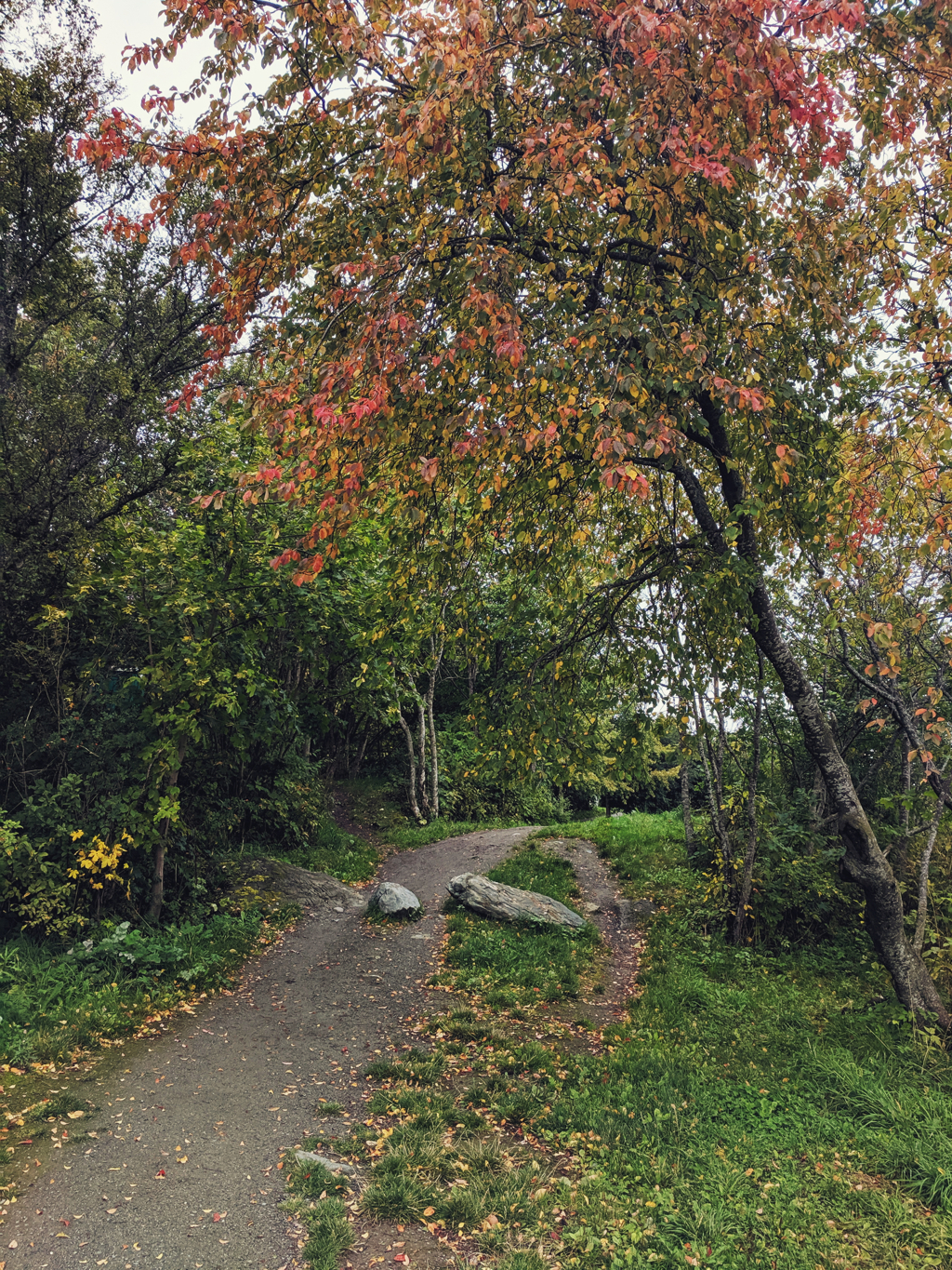 500168993a548296-2019-09-220845571