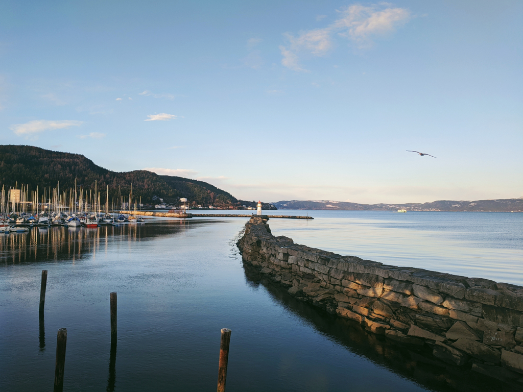 59ca06cf5221017d-2020-01-151146131