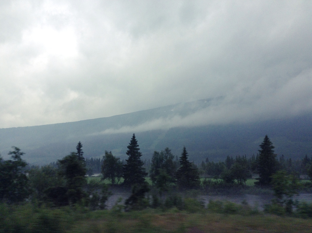 5a345944002a24b1-backdrop-option-4