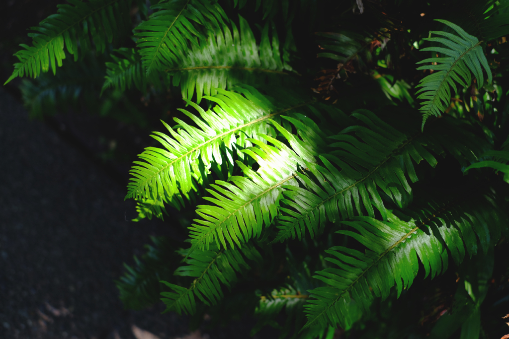 5a3e6b150a3401f3-DSCF0078