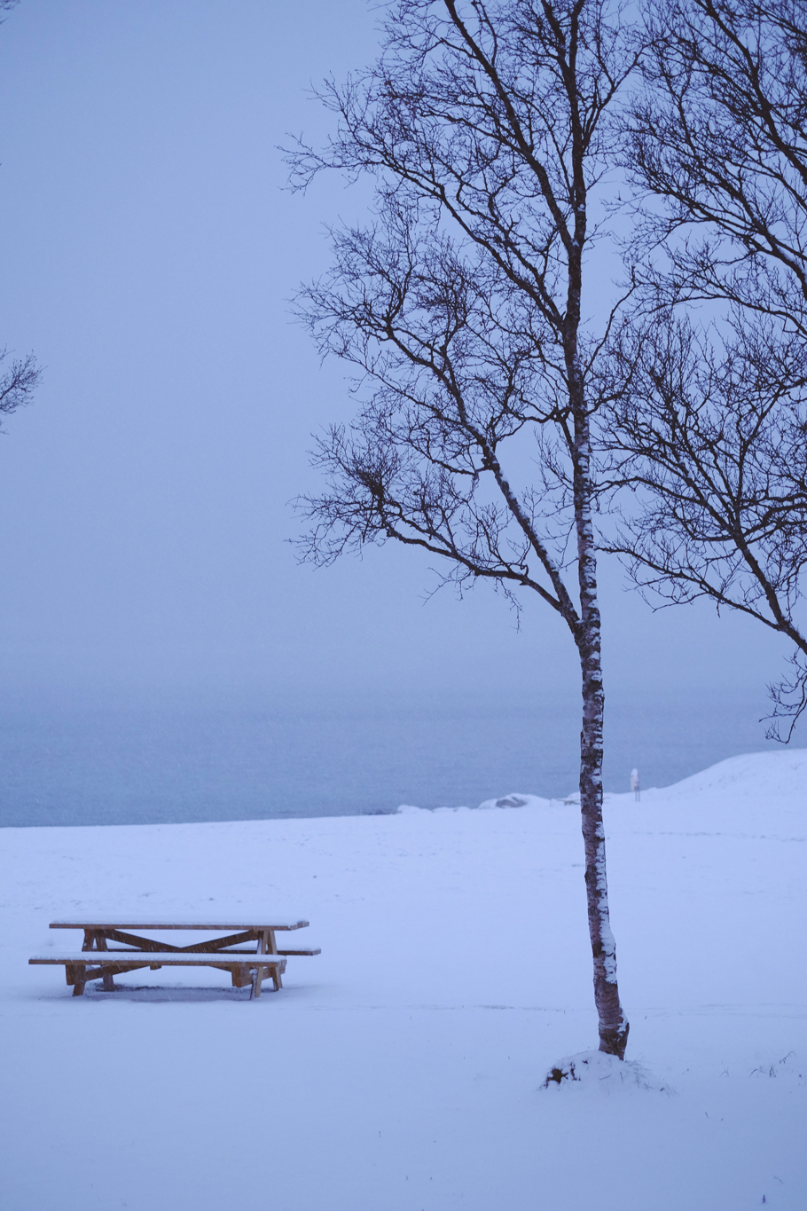 5b0a01171a666027-IMG_0439