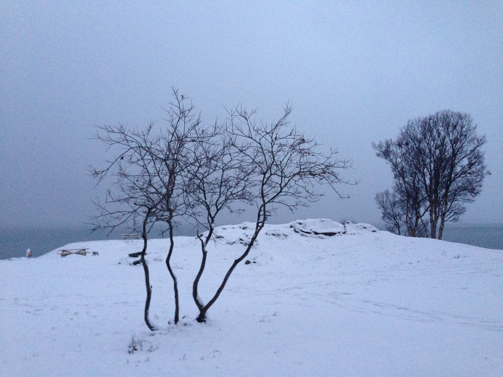 5d33462e301755e2-IMG_0421