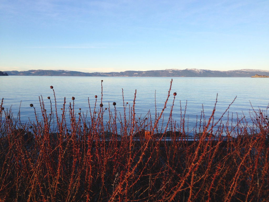 608402b377333992-IMG_4781