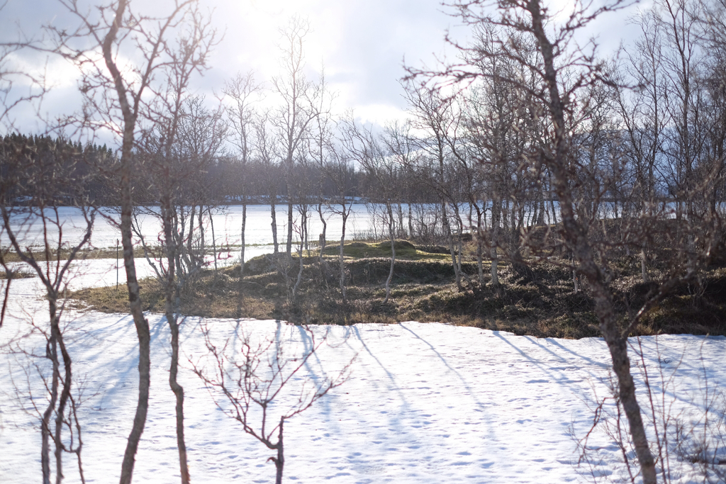 6dd405d41ce655f1-IMG_4091