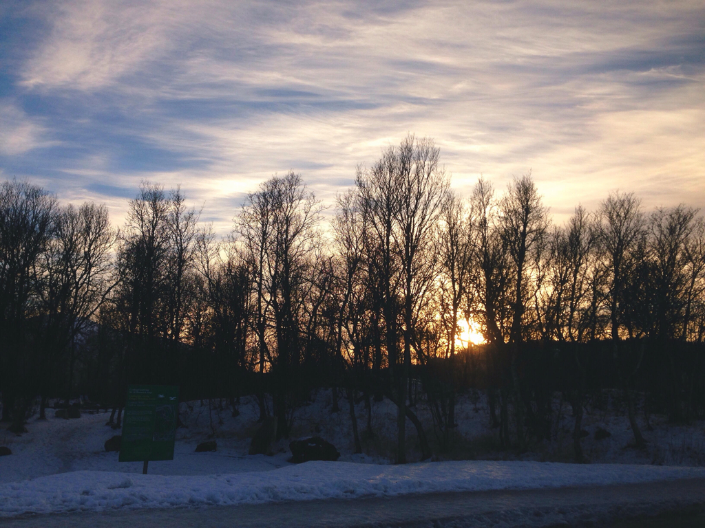 7741a416228273f9-snow3