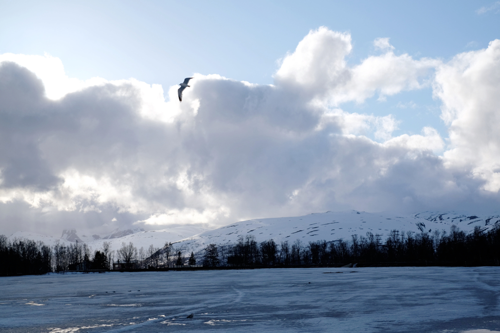 79311ae3f56818cf-IMG_4094