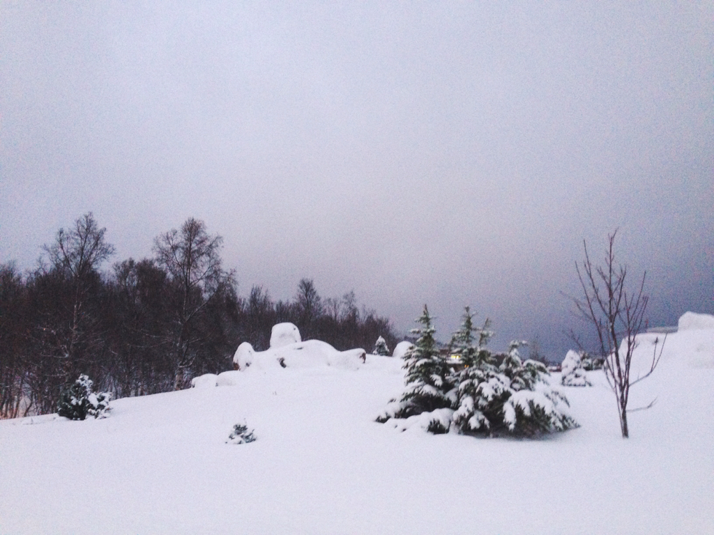 7e806c446792849c-IMG_0731