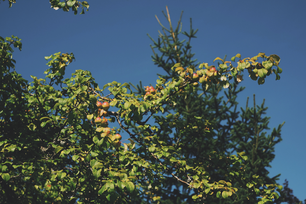 81c1252a7f5f23ce-2019-09-080439072