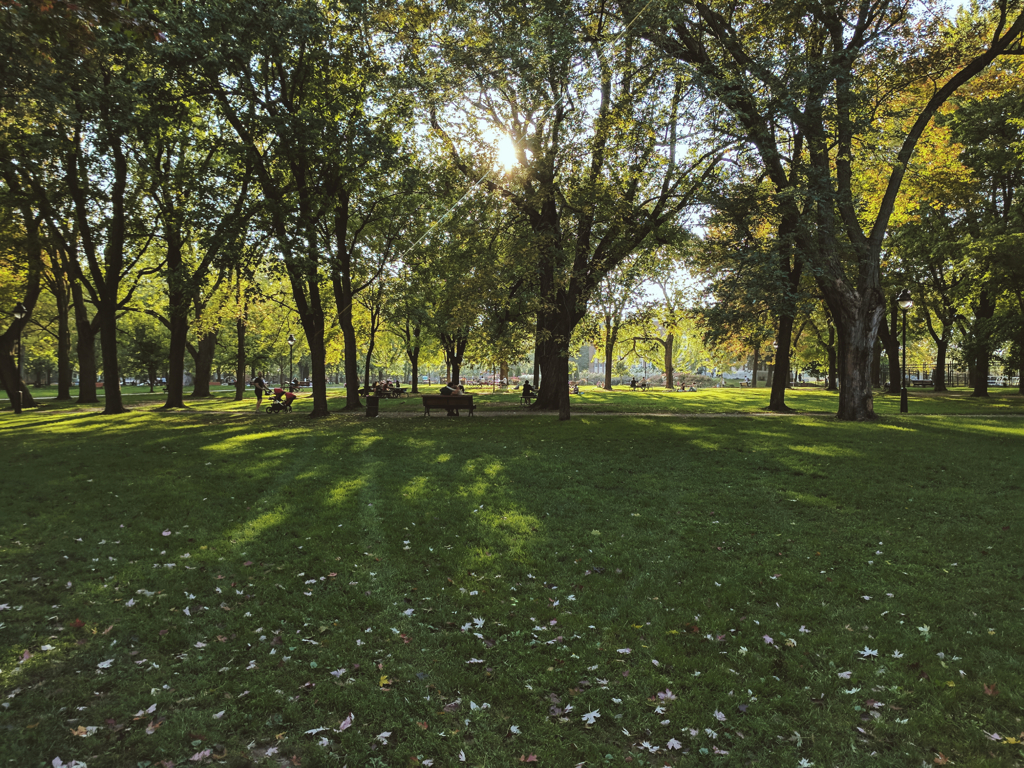 85b8c0660d3517d9-2017-09-210226521