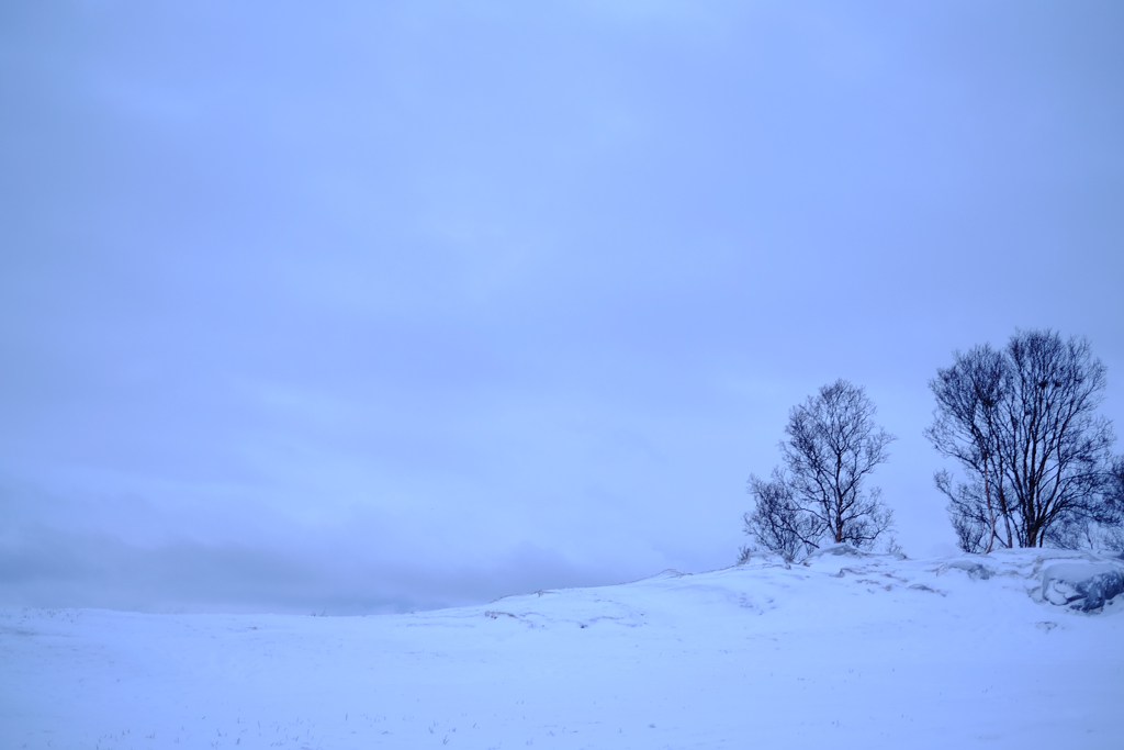 8d1a413de9807546-IMG_6465