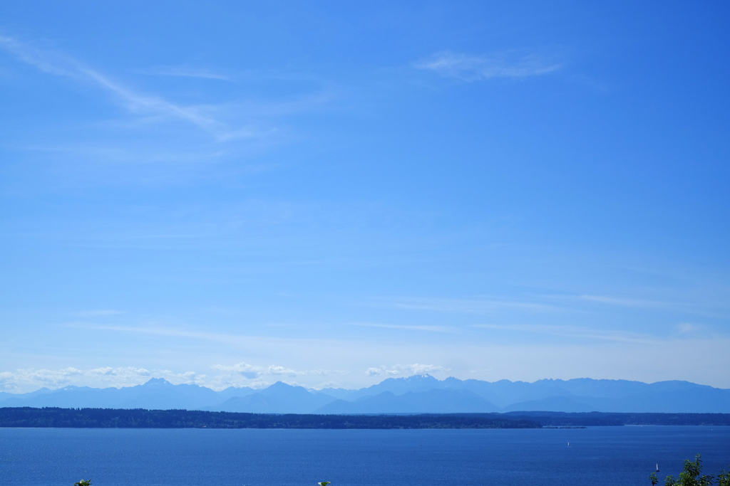 98cbbfd1c5d05653-DSCF0055