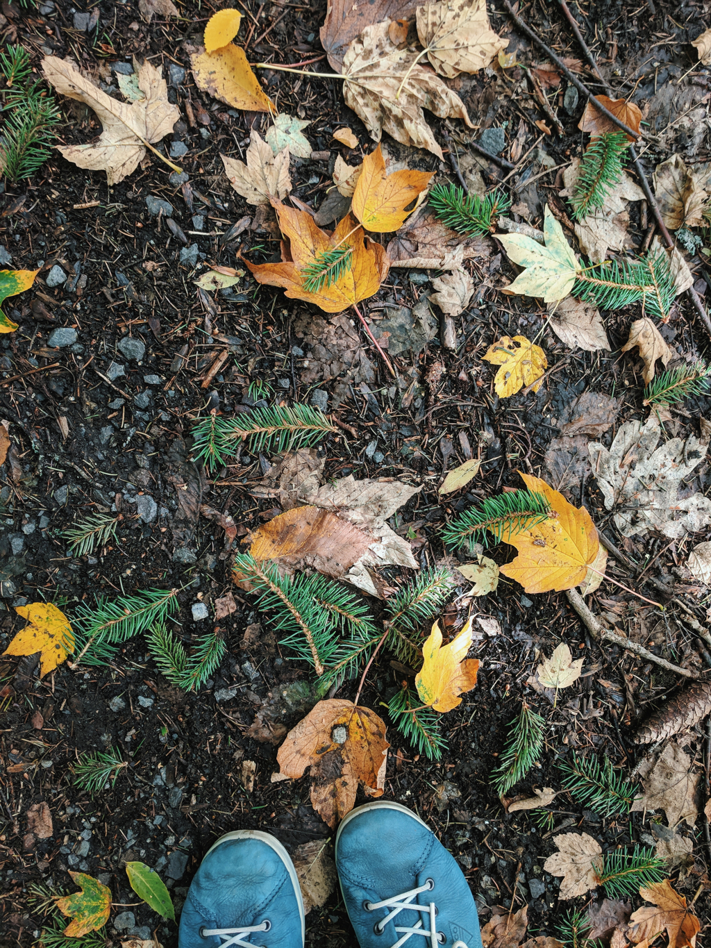 b86f1d4480447ef7-2018-09-120224121