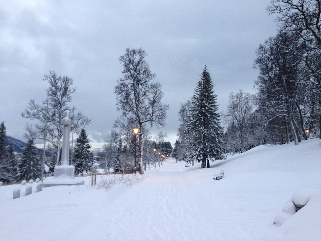 b95ad0e38e48a3ab-IMG_6483