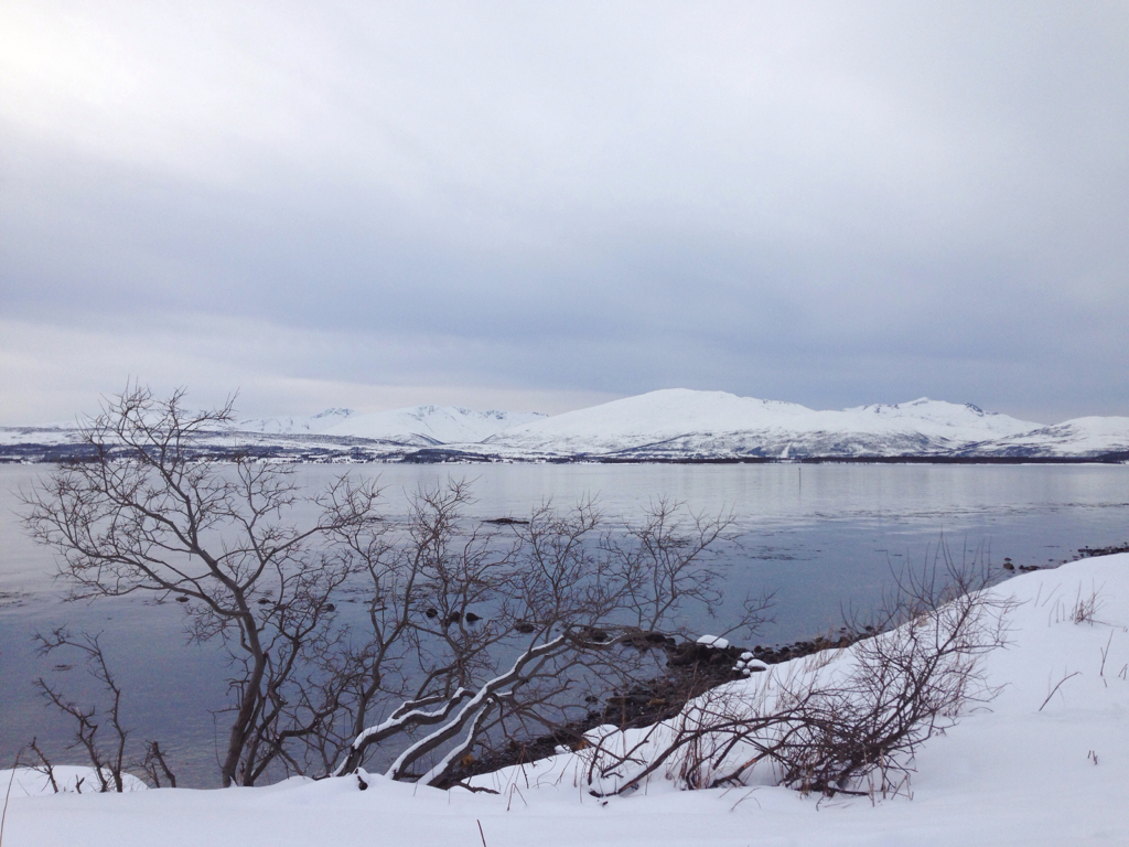 bde229aeb9bbc450-IMG_2879