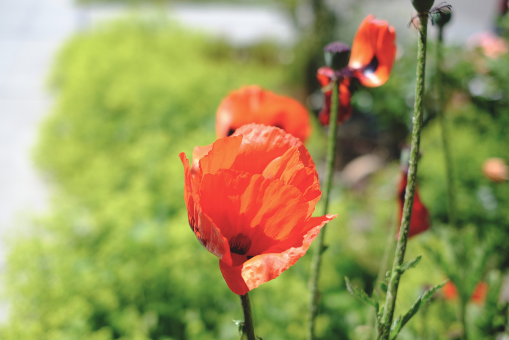 dfee72021cdbe173-DSCF0012