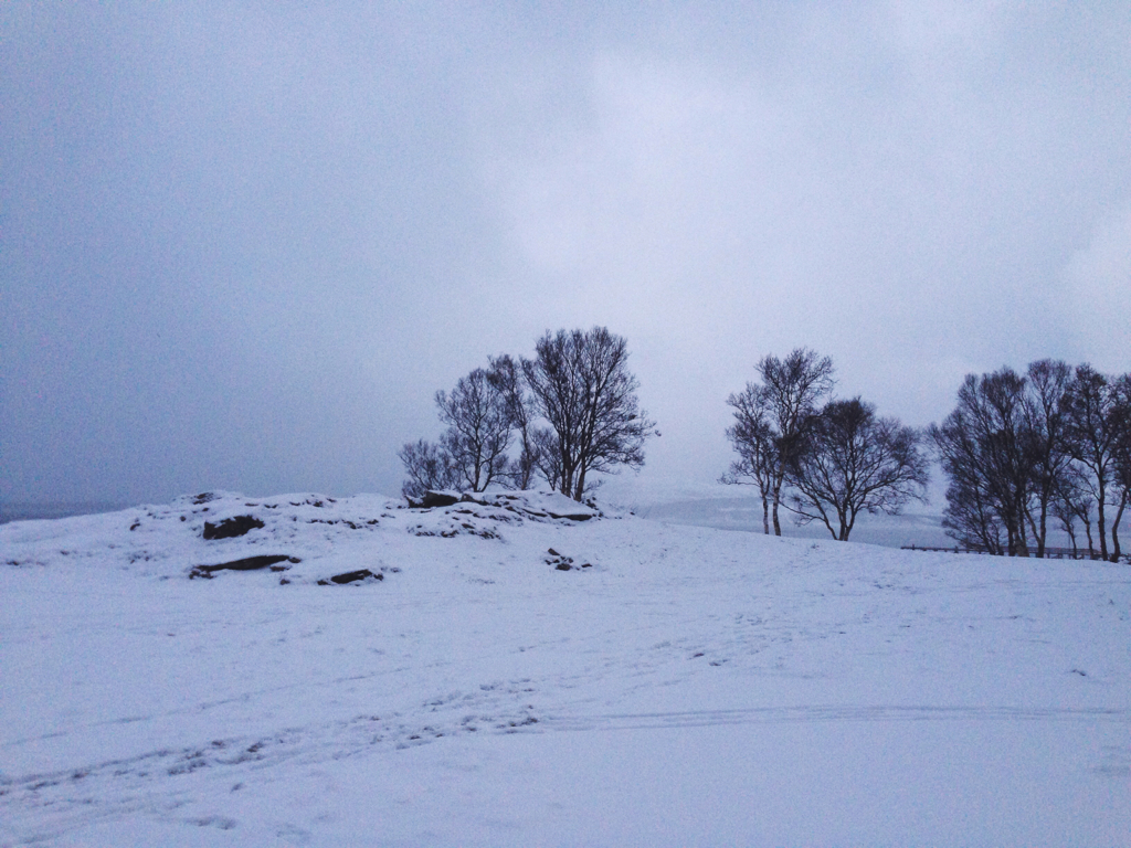 f0bcf7f61f46fb06-IMG_0430