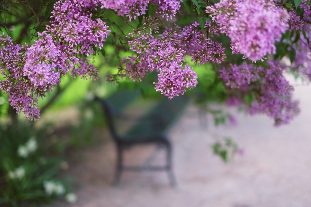 f14edf4ef520b1e2-IMG_4188