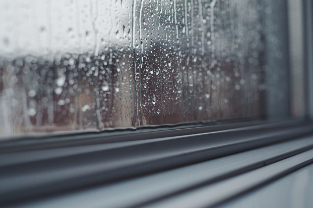 f1c5e1d5a33e7512-2017-09-301139402