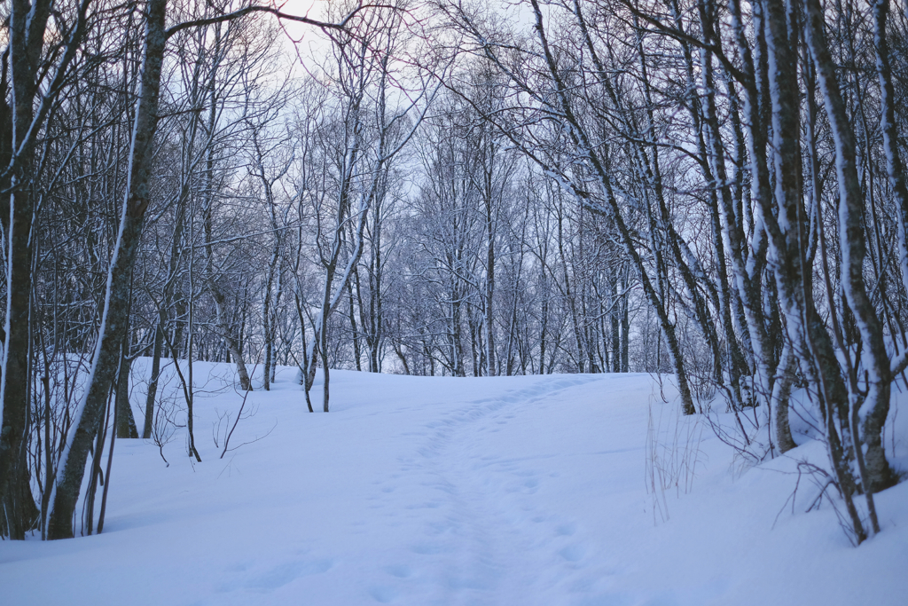 fbaf8663d4605d8b-IMG_7120